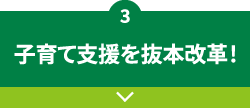 3 子育て支援を抜本改革！