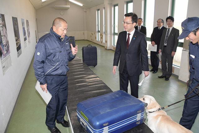 関西国際空港で麻薬探知犬の検査訓練を視察する杉久武財務大臣政務官